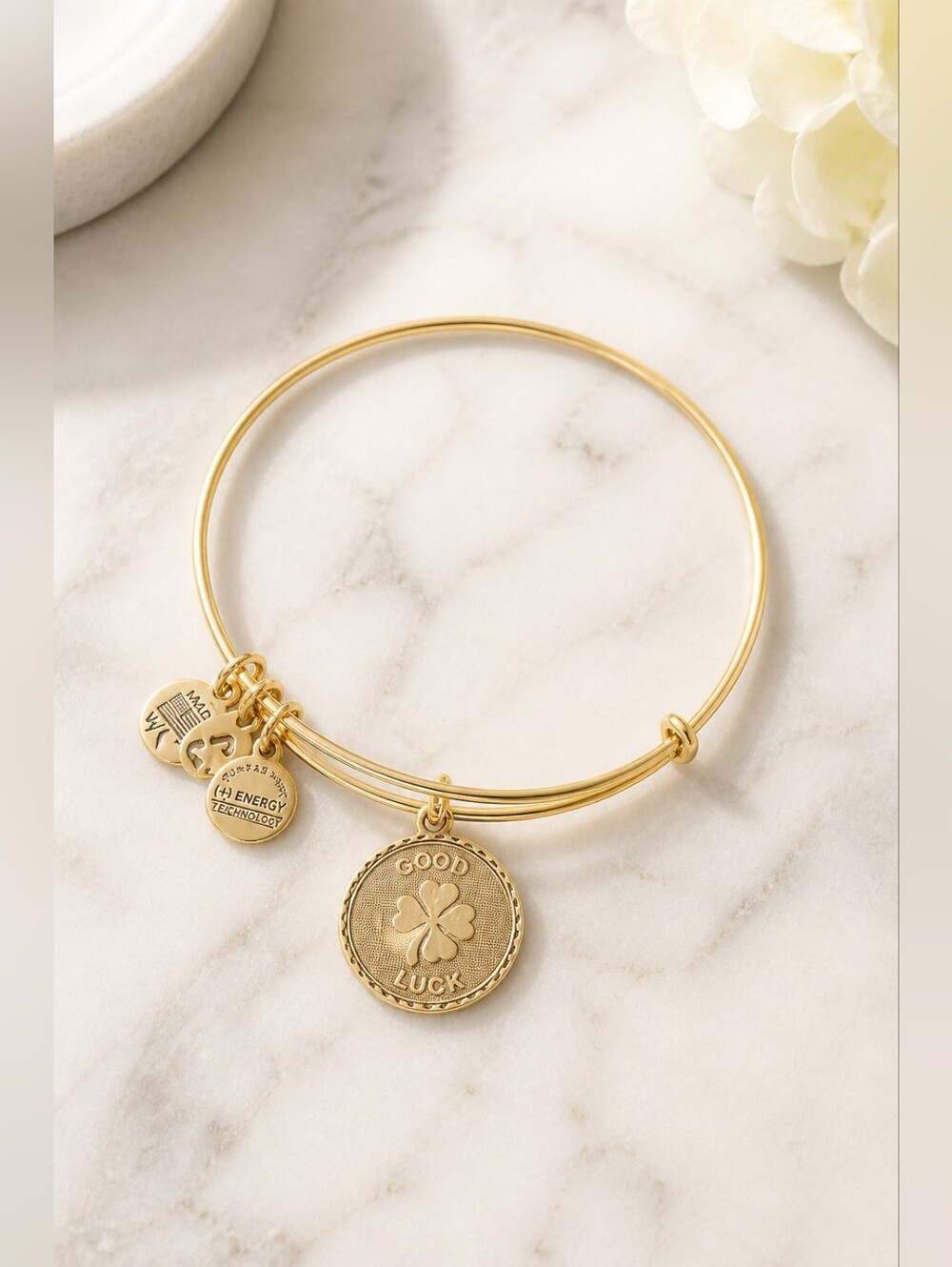 ALEX AND ANI Good Luck Charm Bracelet GUC